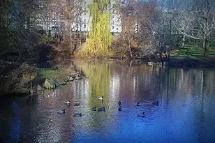 467 Central Prk W, New York City, NY 10025 - Photo 16