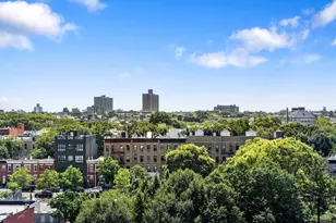 1546 Broadway, New York City, NY 11221 - Photo 8
