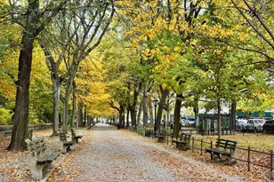 425 Riverside Dr, New York City, NY 10025 - Photo 16