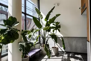 160 West St, New York City, NY 11222 - Photo 16