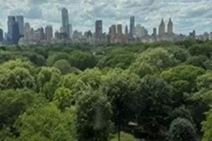 969 5th Ave, New York City, NY 10075 - Photo 12