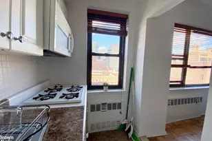 405 E 63rd St, New York, NY 10065 - Photo 8