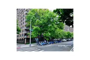 185 Hall St, New York City, NY 11205 - Photo 12