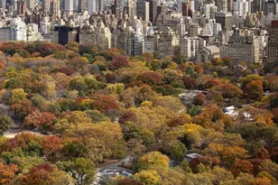 25 Columbus Cir, New York City, NY 10019 - Photo 4