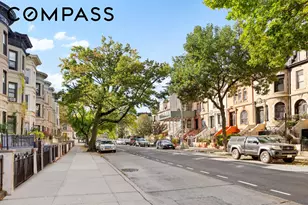 243 New York Ave, New York City, NY 11216 - Photo 4