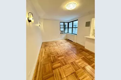 340 E 66th Street #1A, New York City, NY 10065 - Photo 6