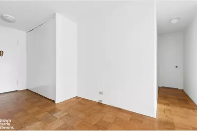 245 E 25th Street #12J, New York City, NY 10010 - Photo 10