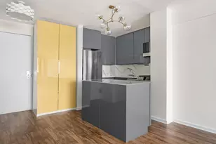 420 E 64th St, New York, NY 10065 - Photo 4