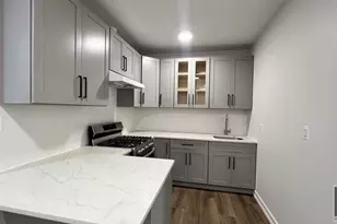 251 E 55th St, Brooklyn, NY 11203 - Photo 2