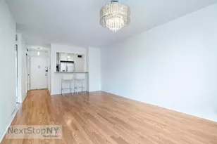 245 E 54th St, New York City, NY 10022 - Photo 2