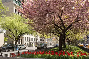 71 Park Ave, New York, NY 10016 - Photo 4
