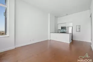 80 Dekalb Ave, Brooklyn, NY 11201 - Photo 2