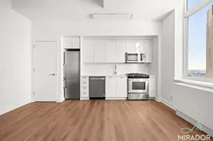 80 Dekalb Ave, Brooklyn, NY 11201 - Photo 4