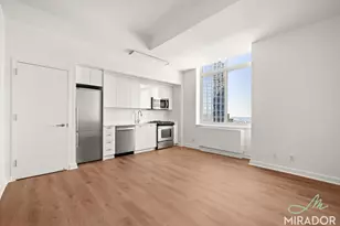 80 Dekalb Ave, Brooklyn, NY 11201 - Photo 2