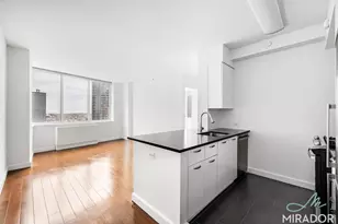 80 Dekalb Ave, New York City, NY 11201 - Photo 2