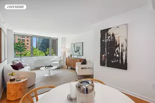 425 Main St, New York City, NY 10044 - Photo 2