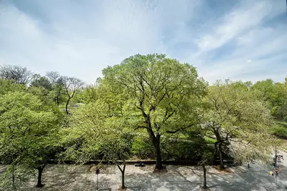 1212 5th Avenue #6A, New York, NY 10029 - Photo 12