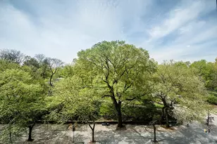 1212 5th Ave, New York, NY 10029 - Photo 12