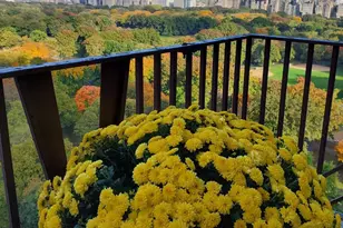 25 Central Prk W, New York City, NY 10023 - Photo 16