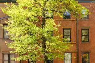 44 Remsen St, New York City, NY 11201 - Photo 10