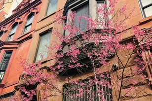 138 Manhattan Ave, New York, NY 10025 - Photo 18