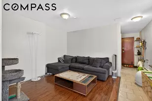 239 Buffalo Ave, New York City, NY 11213 - Photo 8