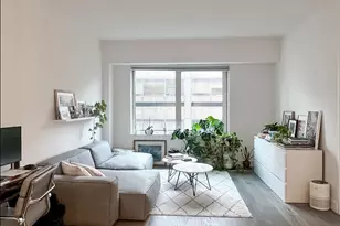 10 Nevins St, Brooklyn, NY 11217 - Photo 1