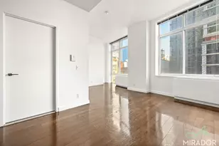 80 Dekalb Ave, New York City, NY 11201 - Photo 24