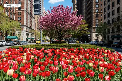 16 Park Avenue #12C, New York City, NY 10016 - Photo 16