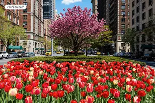 16 Park Ave, New York City, NY 10016 - Photo 16