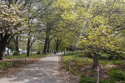 147 Prospect Park SW #15, New York City, NY 11218 - Photo 6