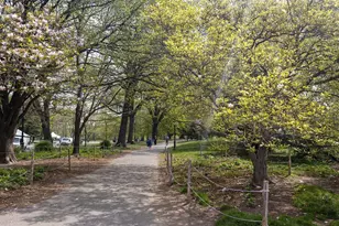 147 Prospect Park Southwest, New York City, NY 11218 - Photo 6