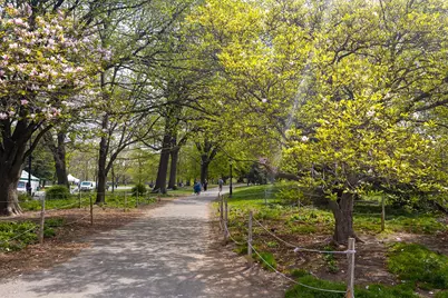 175 Prospect Park SW #1E, New York City, NY 11218 - Photo 18