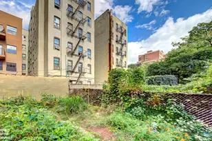 323 E 116th St, New York, NY 10029 - Photo 10