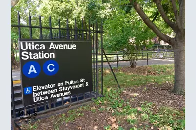 451 Hancock Street, New York City, NY 11233 - Photo 18