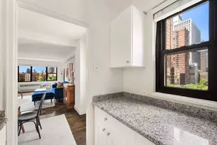 333 E 55th St, New York, NY 10022 - Photo 8