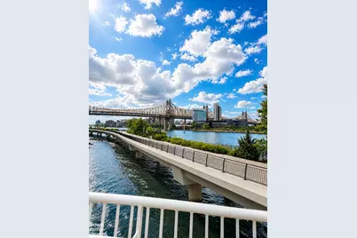 434 E 52nd Street #10EF, New York City, NY 10022 - Photo 32
