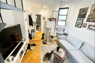 163 Chrystie St, New York City, NY 10002 - Photo 1