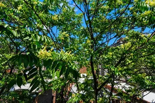 515 W 122nd St, New York, NY 10027 - Photo 4