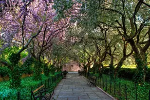 146 W 57th St, New York City, NY 10019 - Photo 10