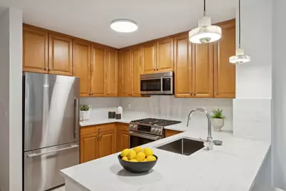 425 Main Street #8A, New York City, NY 10044 - Photo 4