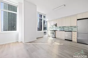 80 Dekalb Ave, Brooklyn, NY 11201 - Photo 1