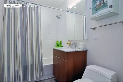 105 Baltic Street #C301, Brooklyn, NY 11201 - Photo 6