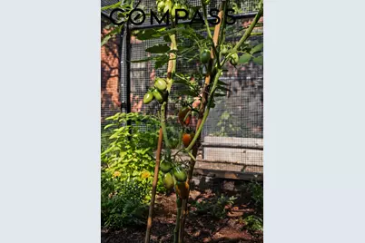 59 Lefferts Place, New York City, NY 11238 - Photo 40