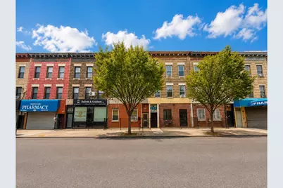 253 Troy Avenue, Brooklyn, NY 11213 - Photo 24