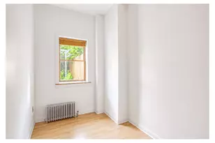 253 Troy Ave, Brooklyn, NY 11213 - Photo 8
