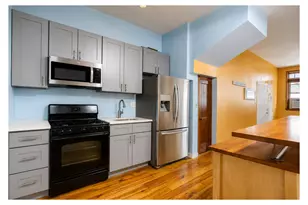 253 Troy Ave, Brooklyn, NY 11213 - Photo 4