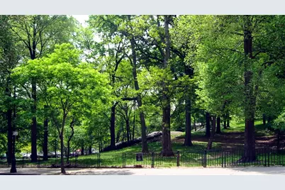 252 W 136th Street, New York City, NY 10030 - Photo 20