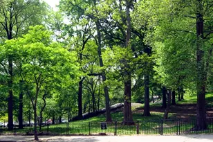 252 W 136th St, New York City, NY 10030 - Photo 20