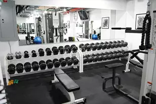 234 Skillman Ave, New York City, NY 11211 - Photo 14